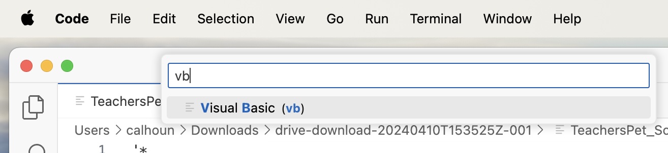 Entering VB to tell Visual Studio Code to treat the file as a Visual Basic file.